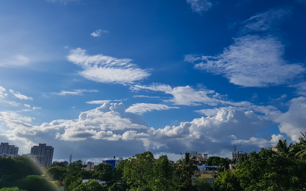 S_20200608_173617.jpg