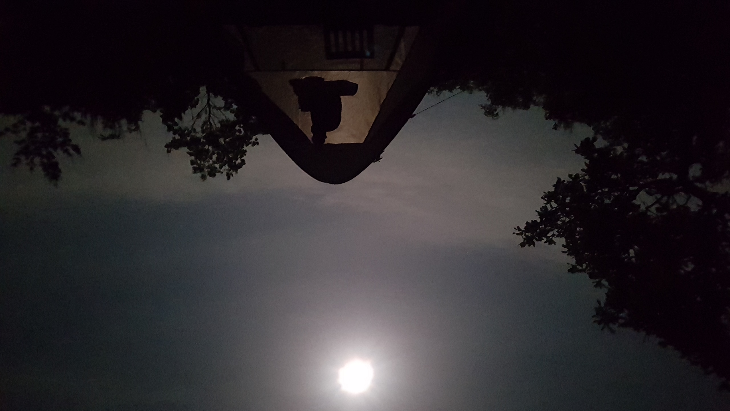 20220515_222647.jpg