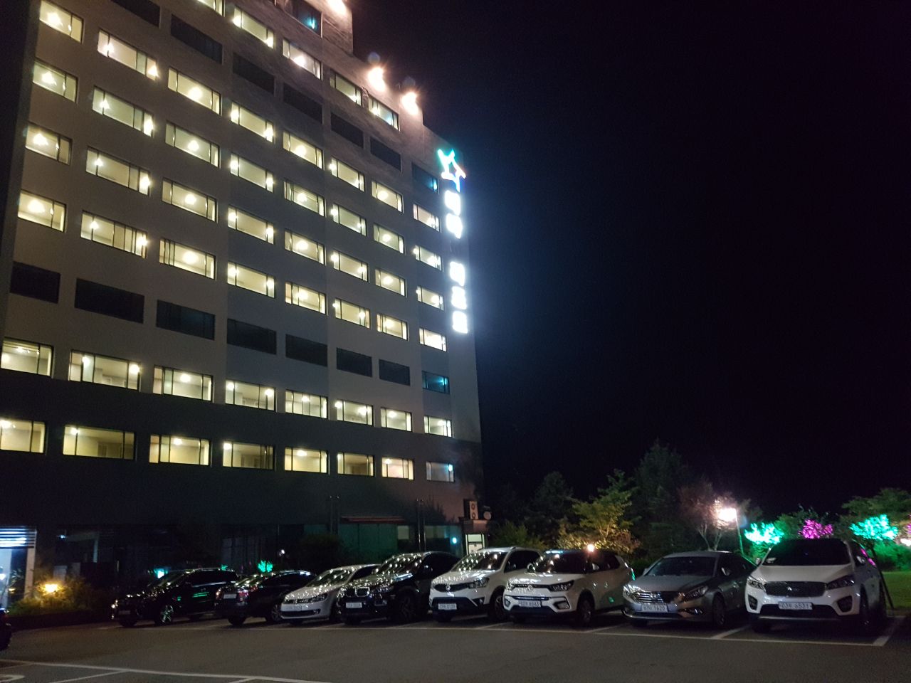 Resized_20190708_211829_3042.jpeg