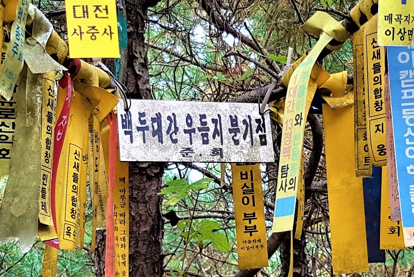20181009_133104-분기봉 (3).jpg