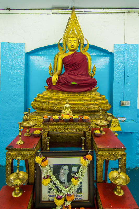 IMGP5279-2.jpg
