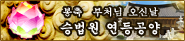 부처님오신날 연등행사